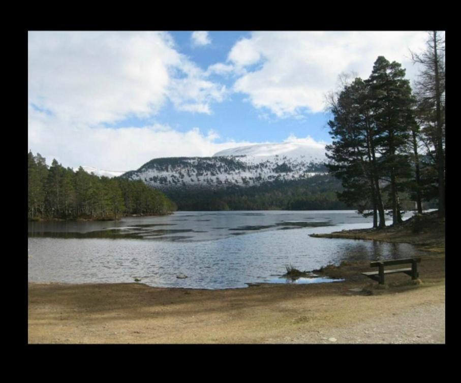 Coylumbridge Lodge, Aviemore, Highlands エクステリア 写真